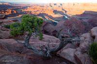 untitled_May 30, 2015_00022