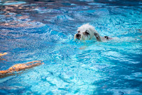 untitled_June 06, 2020_00004-PSedit