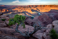 untitled_May 30, 2015_08544-HDR-PSedit-PSedit