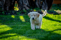 untitled_April 11, 2021_00009-2-PSedit