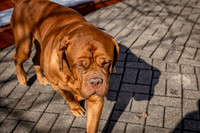 untitled_February 13, 2020_00013-PSedit