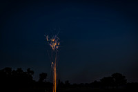 untitled_July 09, 2022_00018-PSedit