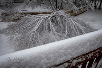 untitled_January 12, 2019_00002-PSedit