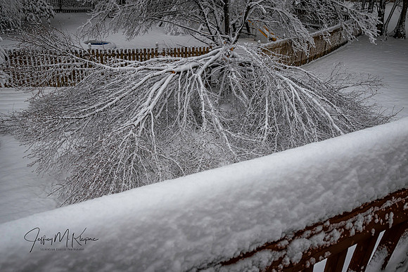 untitled_January 12, 2019_00002-PSedit