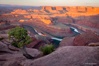 untitled_May 30, 2015_00001