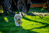 untitled_April 11, 2021_00007-2-PSedit