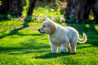 untitled_April 11, 2021_00019-2-PSedit