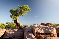 untitled_May 30, 2015_00031-PSedit