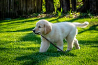 untitled_April 11, 2021_00012-PSedit