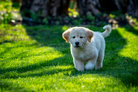 untitled_April 11, 2021_00013-2-PSedit