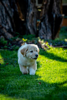 untitled_April 11, 2021_00006-2-PSedit