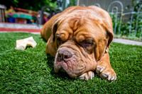 untitled_July 03, 2019_00006-PSedit