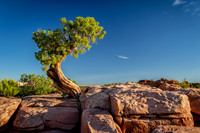 untitled_May 30, 2015_00028-PSedit