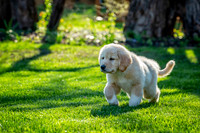 untitled_April 11, 2021_00017-2-PSedit