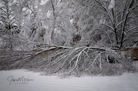 untitled_January 12, 2019_00005-PSedit