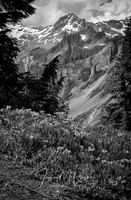 _76A2672-PSedit-PSedit-2