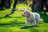 untitled_April 11, 2021_00018-2-PSedit