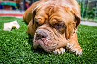 untitled_July 03, 2019_00005-PSedit
