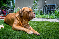 untitled_July 03, 2019_00010-PSedit