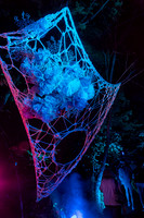_L3A1831-Enhanced-NR-PSedit
