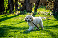 untitled_April 11, 2021_00007-PSedit